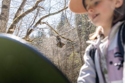 Aillons - Ciel Etoilé Bauges - Alpigraphie-101946