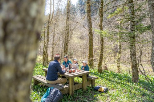 Aillons - Ciel Etoilé Bauges - Alpigraphie-101973