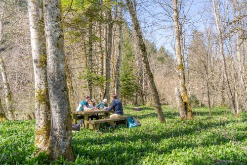 Aillons - Ciel Etoilé Bauges - Alpigraphie-101979