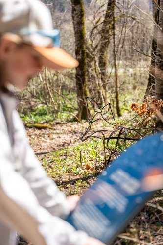 Aillons - Ciel Etoilé Bauges - Alpigraphie-102007