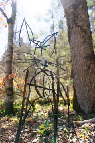 Aillons - Ciel Etoilé Bauges - Alpigraphie-102013