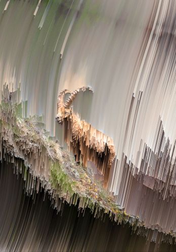 Alpine Lines Creative Graphic Design