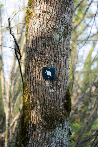 Curienne - Ciel Etoilé Bauges - Alpigraphie-101592