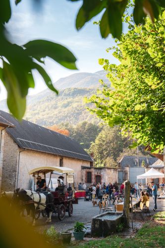 Domaine de Mejane-105149