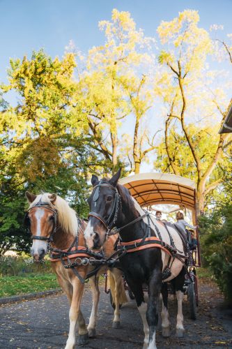 Domaine de Mejane-105249