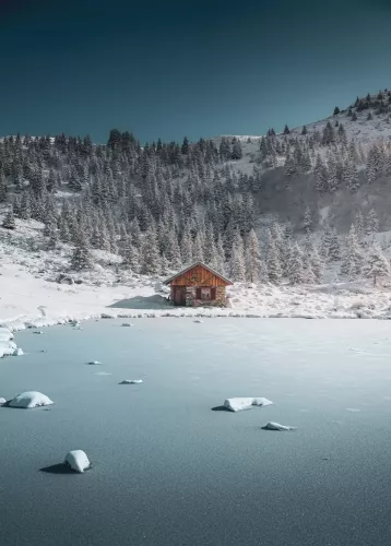 L'appel des cabanes, beau livre sur l'art de s'ensauvager