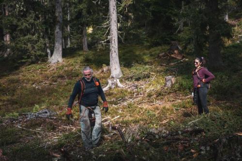 LesSensdesAlpes-Recolte-1