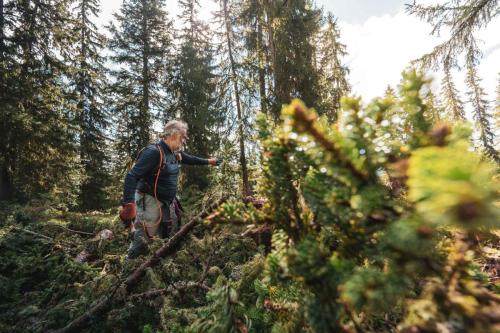 LesSensdesAlpes-Recolte-2