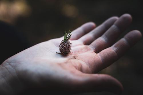 LesSensdesAlpes-Recolte-26