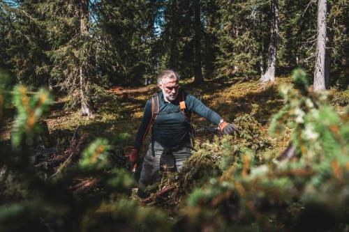 LesSensdesAlpes-Recolte-3