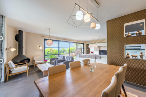 Photo Immobilier Aix-les-Bains (9)