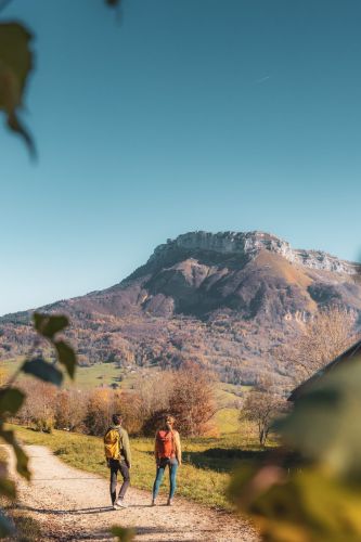 Photographe Bauges Savoie (16)