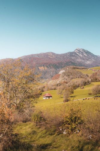 Photographe Bauges Savoie (17)