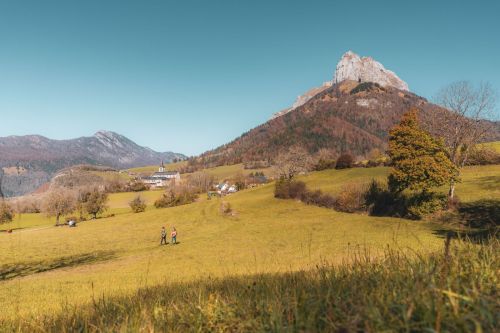 Photographe Bauges Savoie (18)