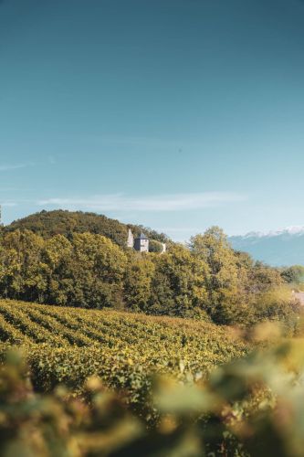 Photographe Destination (21)