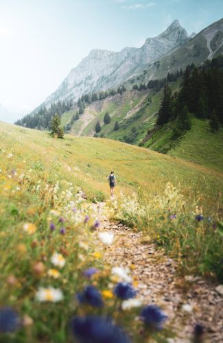 Randonnée-Col-d'Orgeval-(c)Alpigraphie-(14)