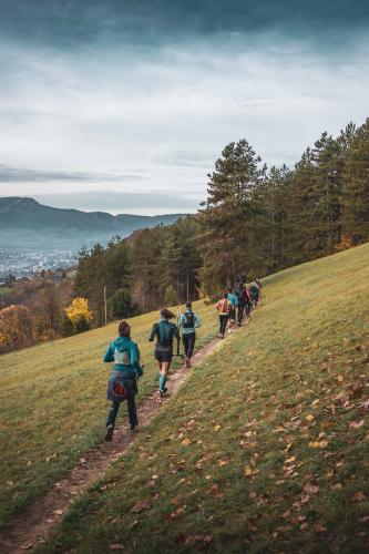 Trail du Mont Peney, Sangerun à Saint Jean d'Arvey