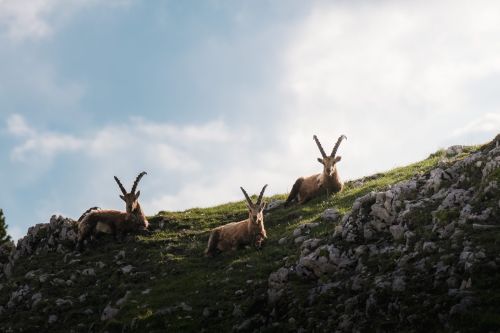 Vercors-Petzl - (c) Alpigraphie-01574