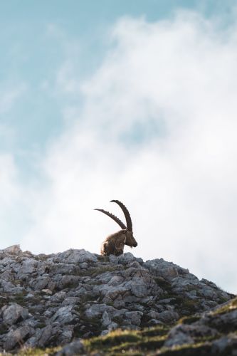 Vercors-Petzl - (c) Alpigraphie-01583
